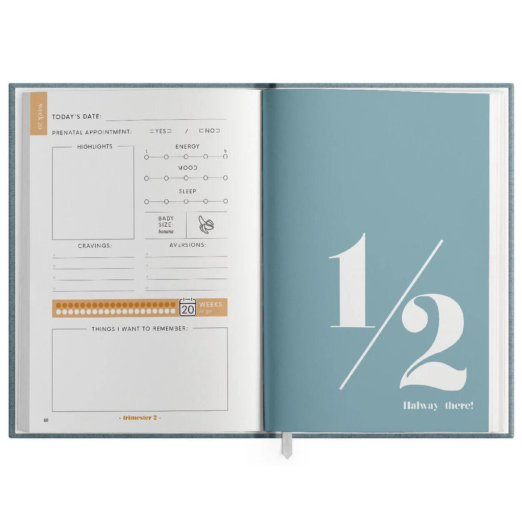 My Pregnancy Journal - Premium Memory Book & Planner for Expecting Moms